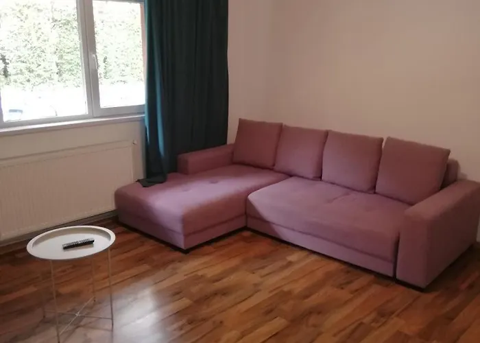 Ruud Mall * ティミショアラ